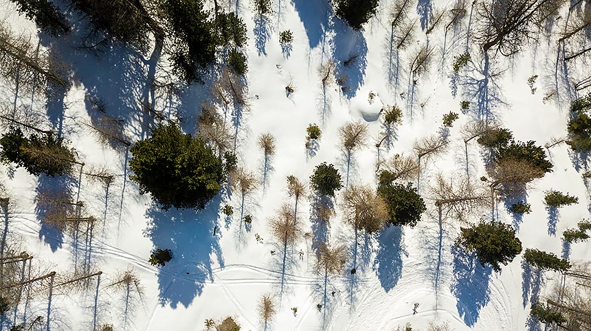 Parco naturale di Fanes in inverno