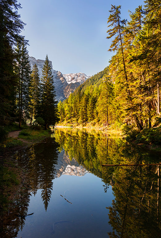 Riflesso nel lago